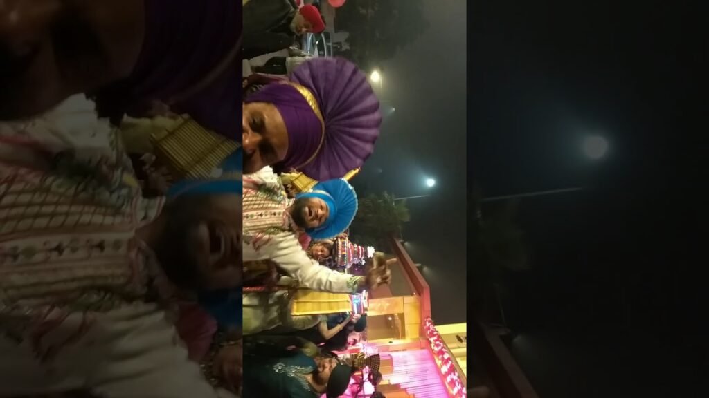 Bhangra in wedding #flashmob