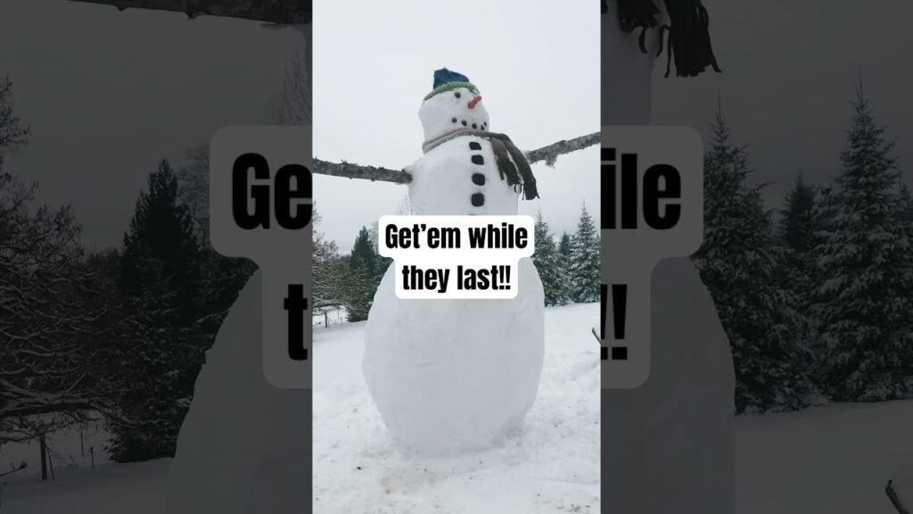 Free snow cones today!! Free refills and lots of flavors!! #icecreamtruck #icecream