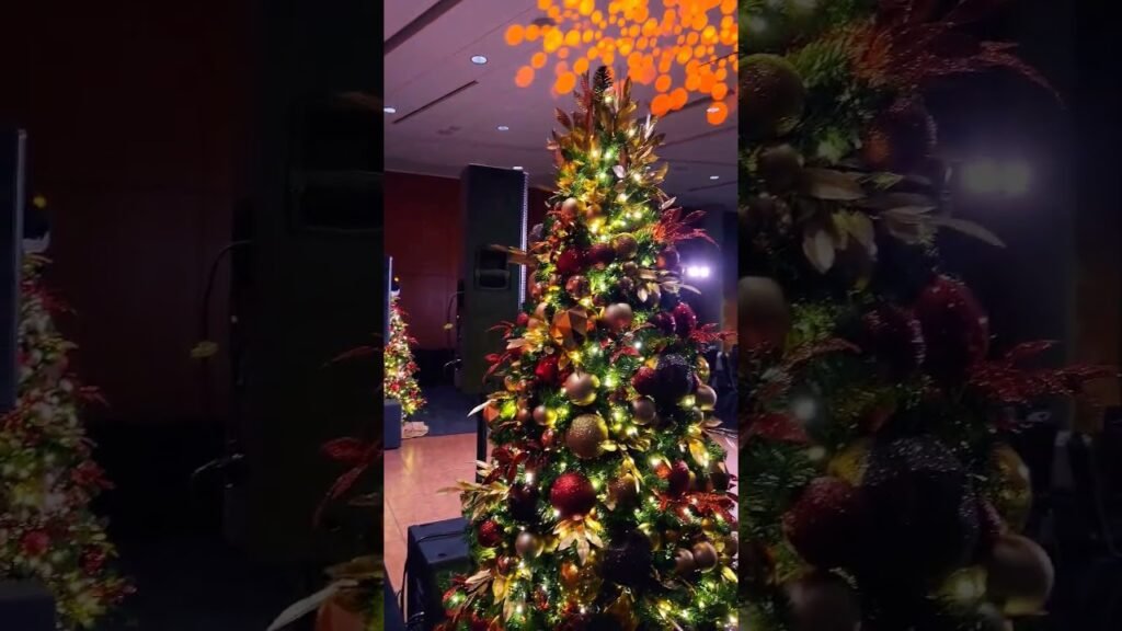 Premium dj set-up | corporate event | anvil centre | anvil theatre