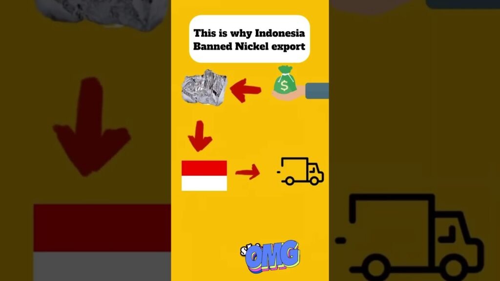 This is why indonesia banned nickel export 🤯🤯🤯