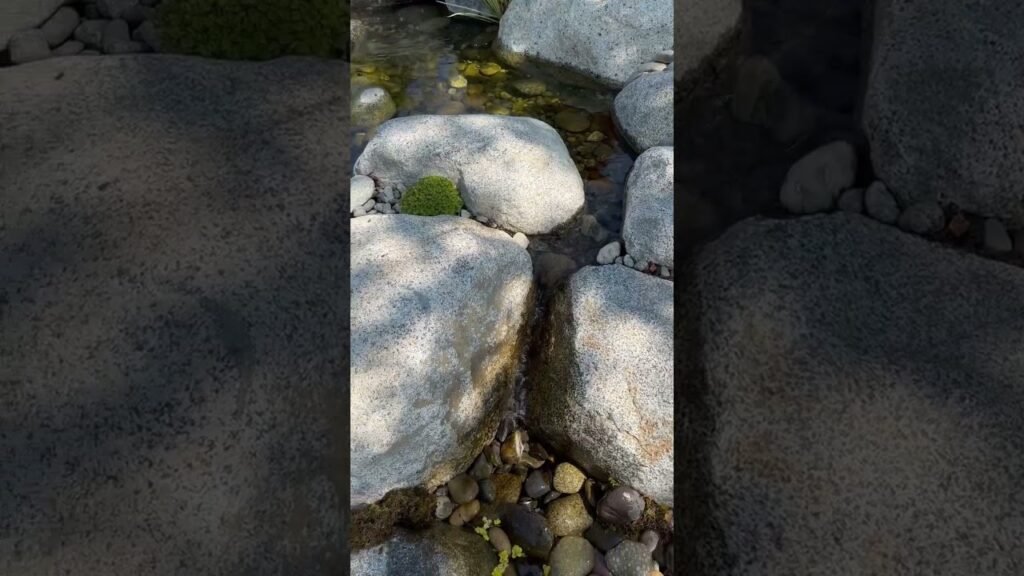 Waterfall beauty! #shorts