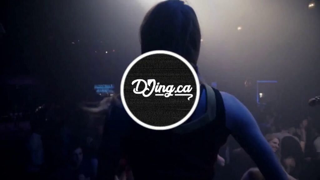 Wedding dj | impress your friend with your party | call 1 (800) 431-4685