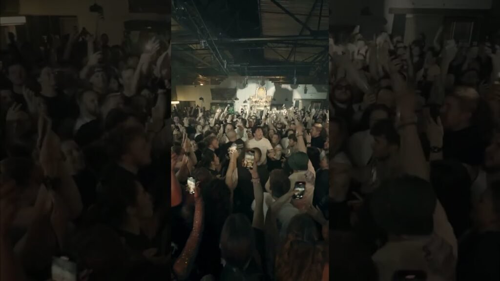 Omg that vibe is insane 🥹🤯 #avaion #somebodythatiusedtoknow #forthevibes #clubsounds