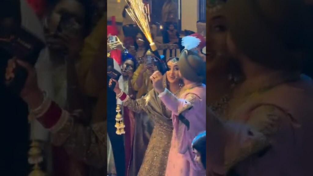 Punjabi Weeding Dance #Varmalaceremony #Wedding #Waweddings #Weddingphotography | Vancouverdiscjockeys 7 Punjabi weeding dance #varmalaceremony #wedding #waweddings #weddingphotography