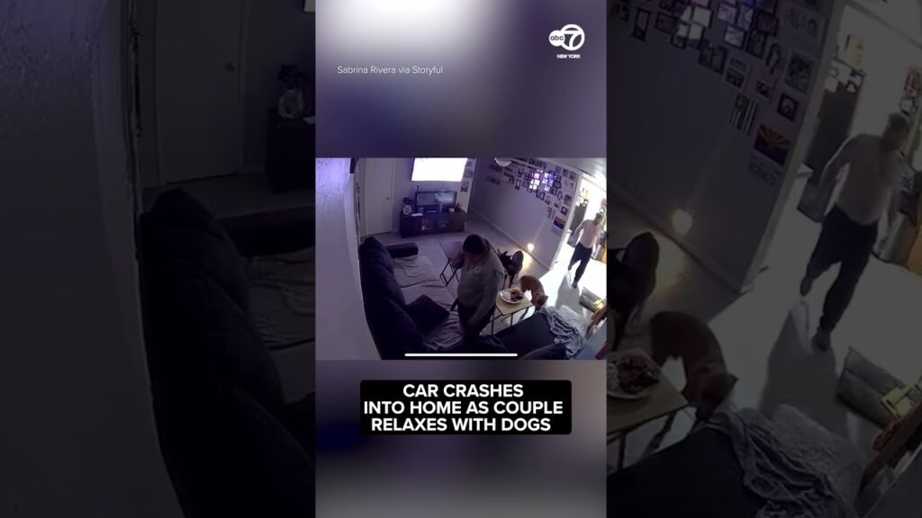 Shocking moment car crashes into home where couple were relaxing with their 4 dogs